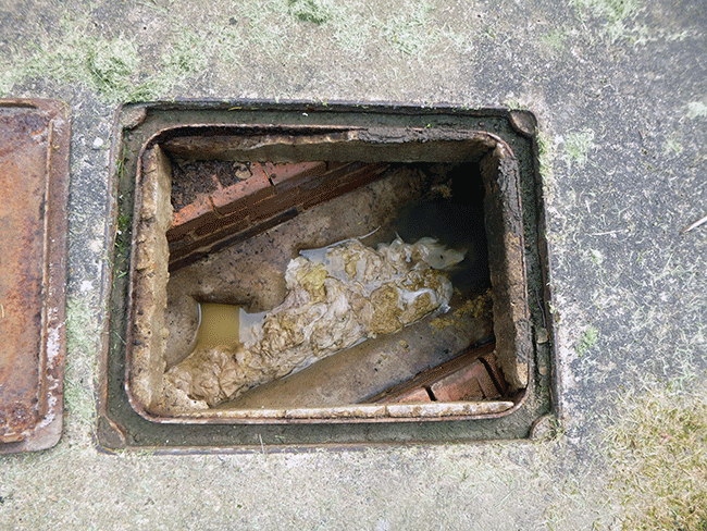Tissue Blocking A Drain - View From Above The Open Manhole